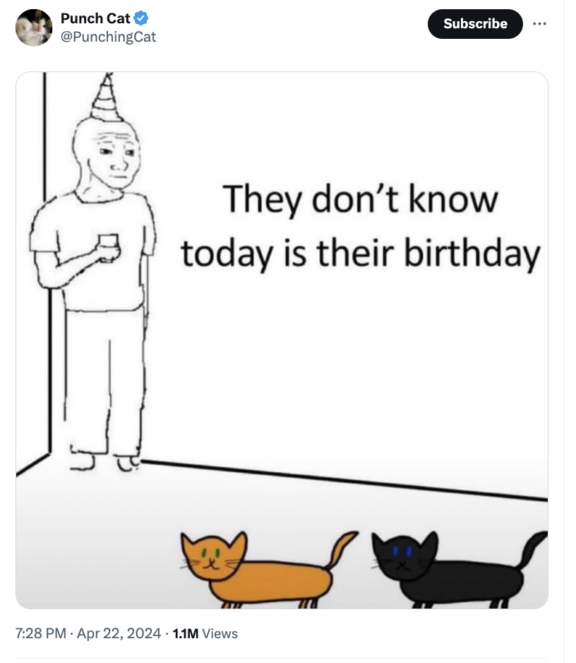 cartoon - Punch Cat Subscribe They don't know today is their birthday . 1.1M Views